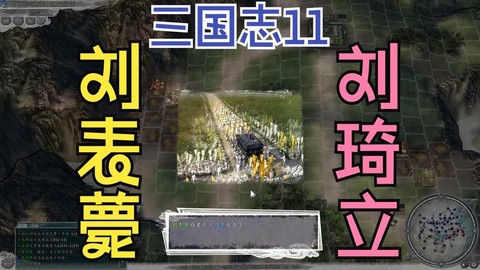 三国志13怎么病死