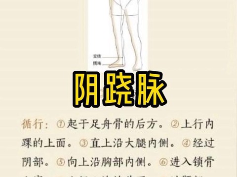 九阴真经阴跷脉怎么开[图1]