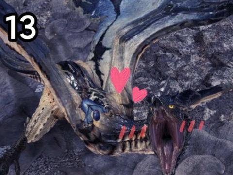 怪物猎人风茄长什么样