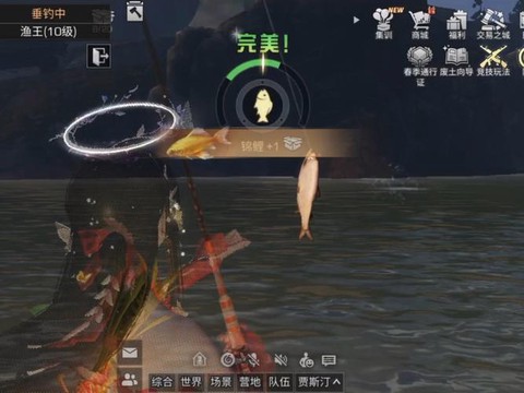 明日之后用什么鱼饵钓锦鲤[图2]