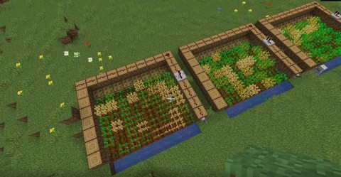 我的世界农田怎么做